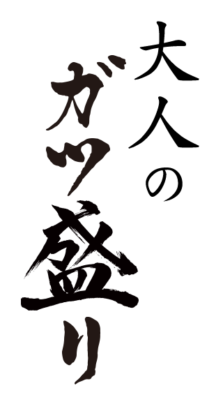 大人のガツ盛り