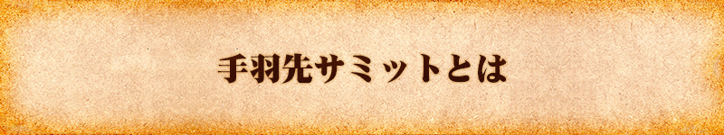 手羽先サミットとは